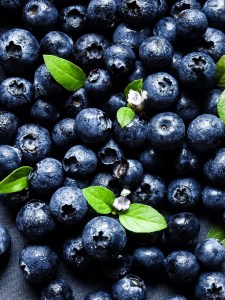 Shooting Closeups with Standard Lenses